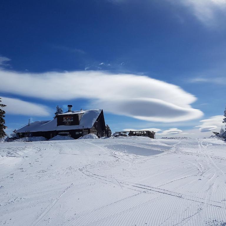 Milmari M18 Kopaonik - Tent - 47