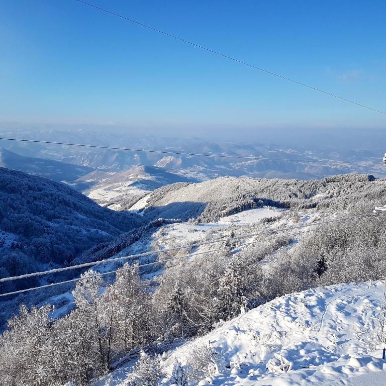 Milmari M18 Kopaonik - Tent - 44