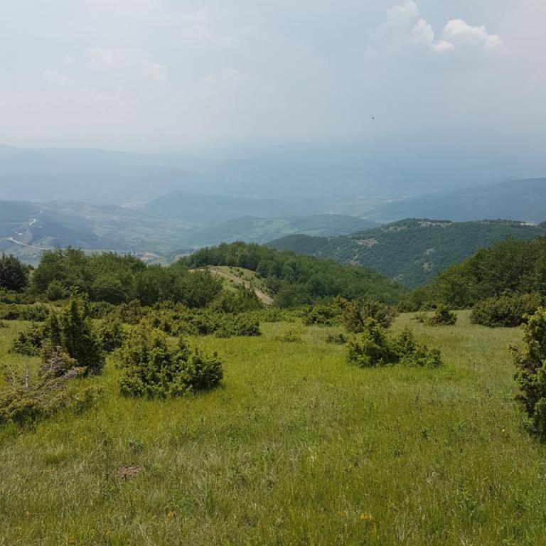 Milmari M18 Kopaonik - Tent - 39