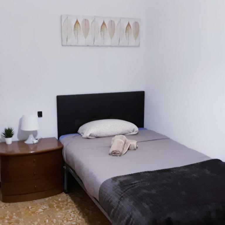 Centro Ciudad apartamento entero - Apartment - 21