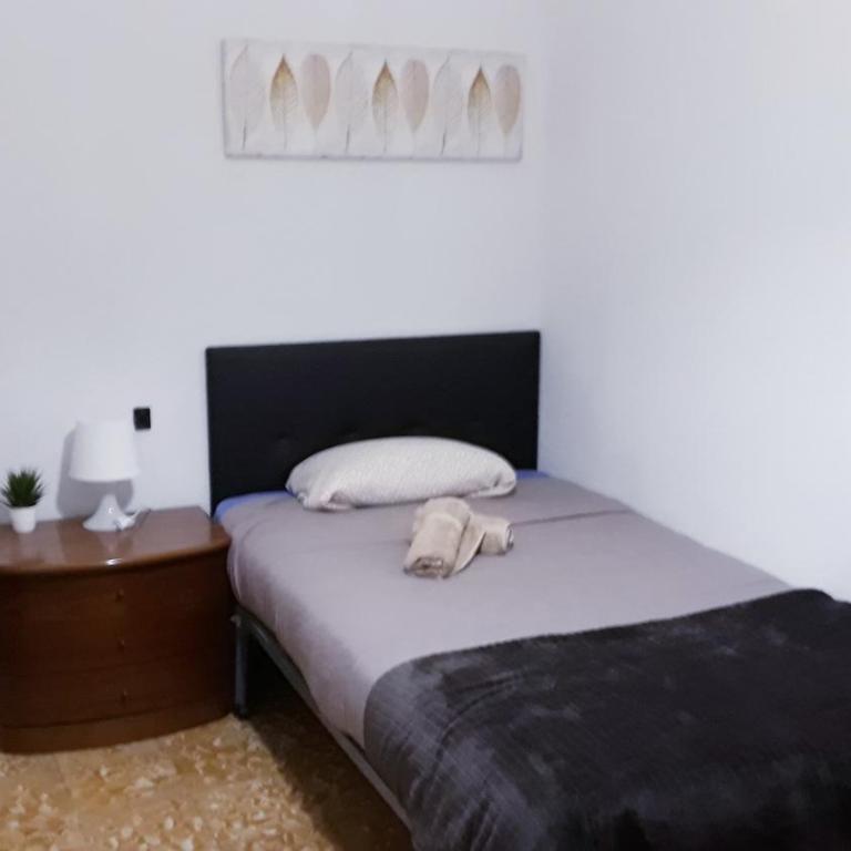 Centro Ciudad apartamento entero - Apartment - 20