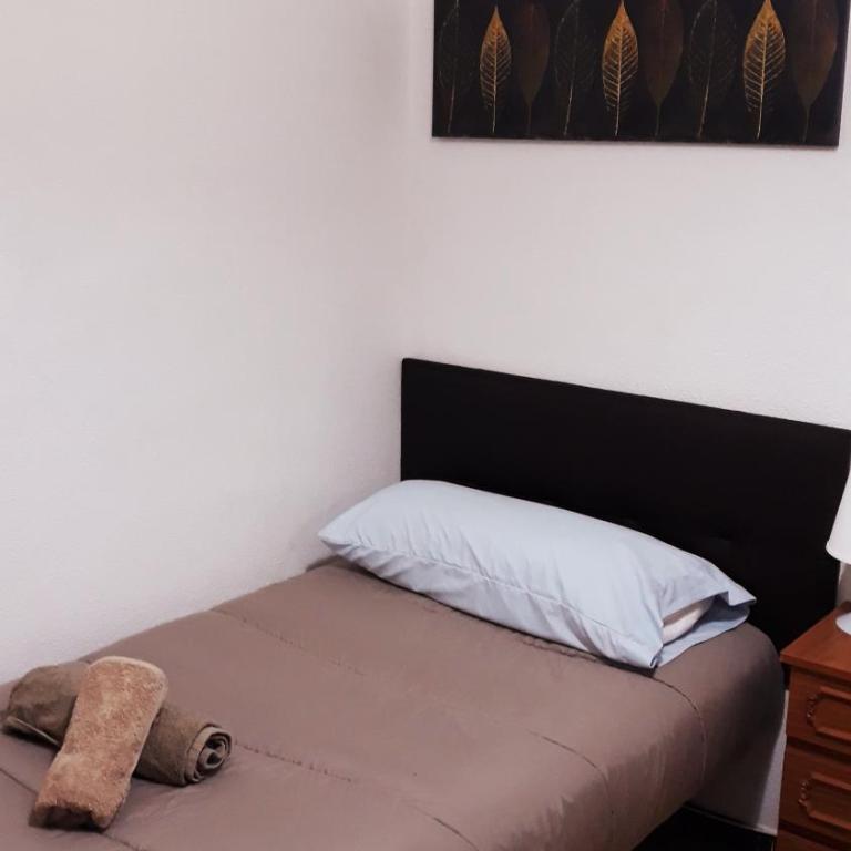 Centro Ciudad apartamento entero - Apartment - 19