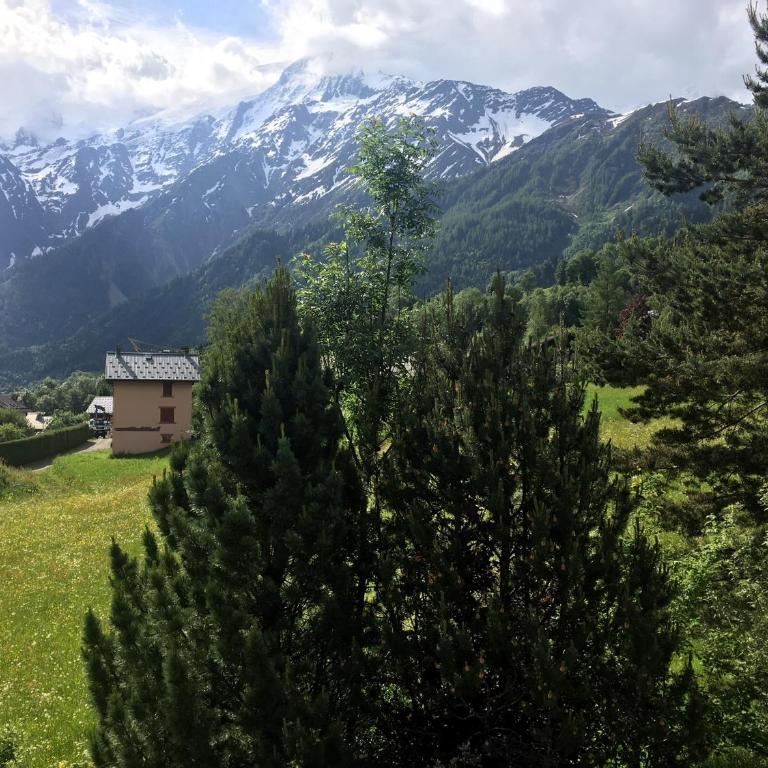Thendia Montblanc - Chalet Supérieur - 88