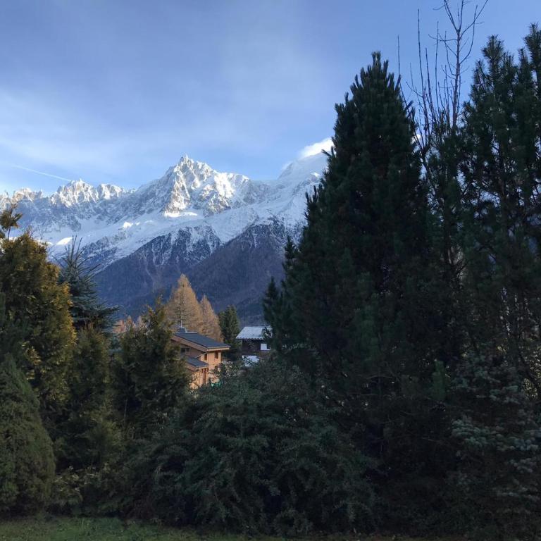 Thendia Montblanc - Chalet Supérieur - 89