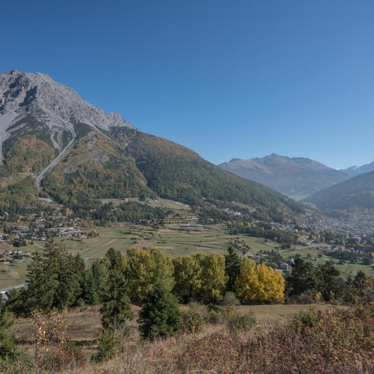Residence Fior d'Alpe - Monolocale Superior - 4