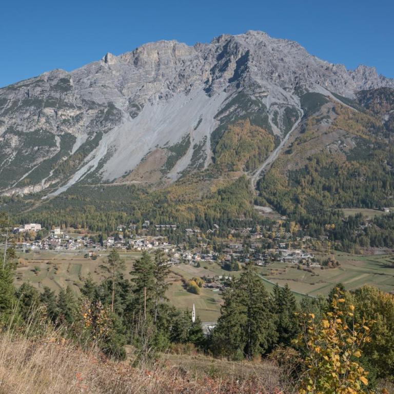 Residence Fior d'Alpe - Monolocale Superior - 5