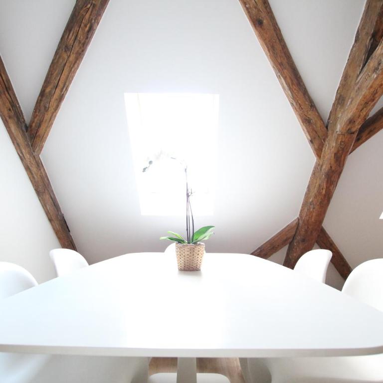 Colmar Historic Center - BELLE ALSACE 5 - 4 étoiles - Superior Apartment - 16