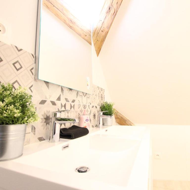 Colmar Historic Center - BELLE ALSACE 5 - 4 étoiles - Superior Apartment - 12