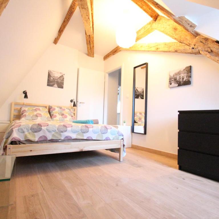 Colmar Historic Center - BELLE ALSACE 5 - 4 étoiles - Superior Apartment - 18
