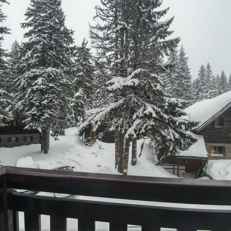 Apartments Zed Vila Zvoncica - One-Bedroom Apartment - 4
