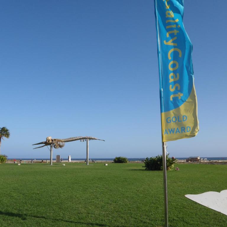 Clara's sun apt - Apartamento de 2 dormitorios - 33