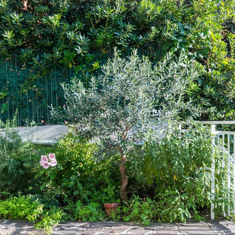 Casa Ceroni - Apartment - 22