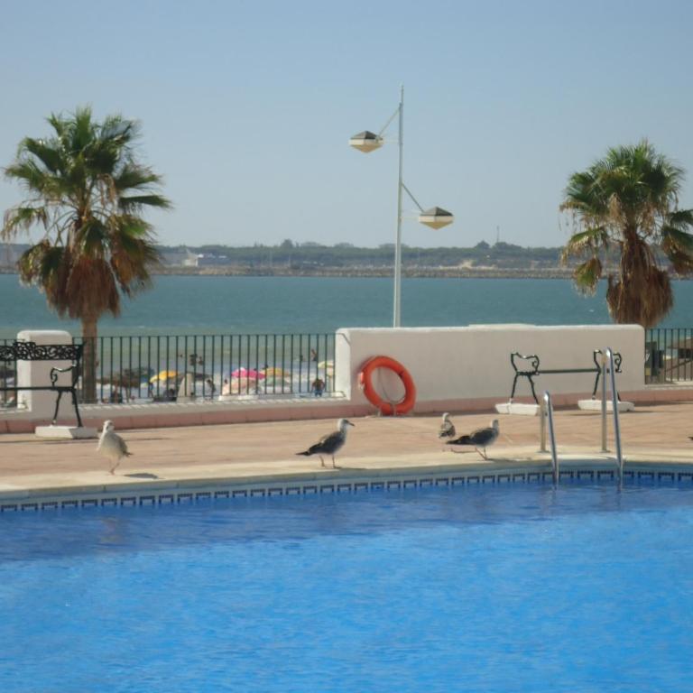 Apart frente playa Valdelagrana.Wifi y parking - Apartamento - 18