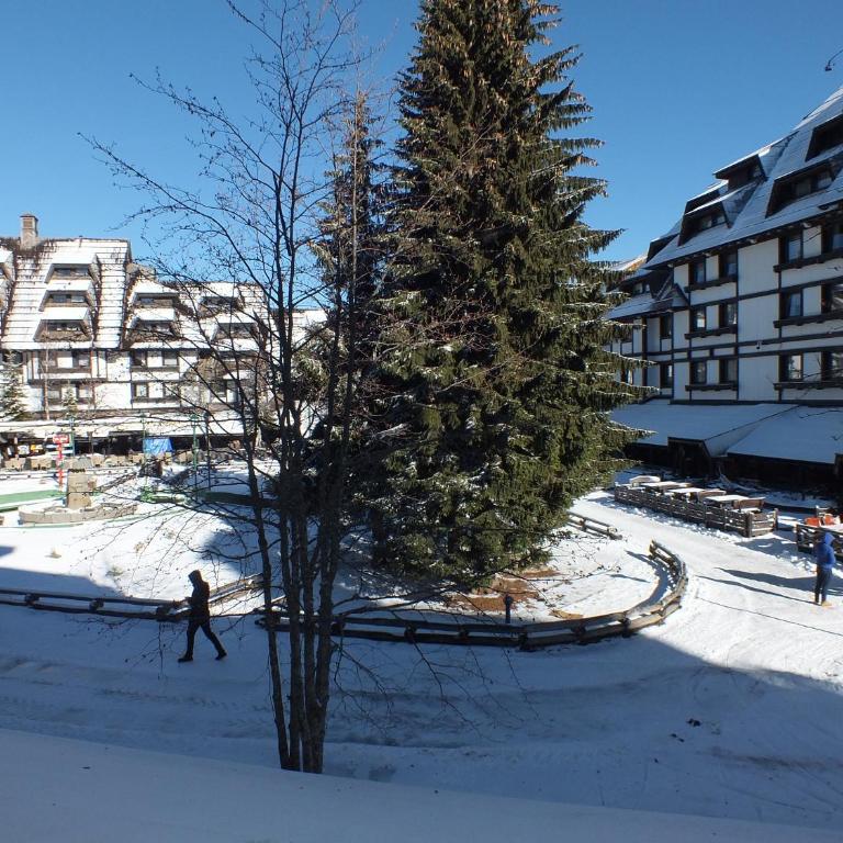 Apartments Pavle - Studio Apartment - 5