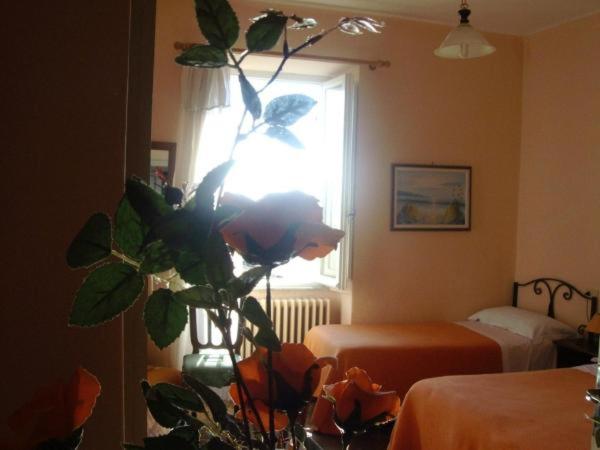 Albergo Anna - Camera Matrimoniale/Doppia con Letti Singoli - 1