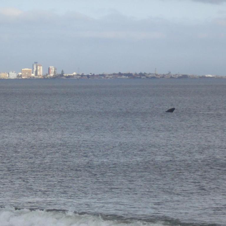 BDA Hotel & Spa - Suite Executive with Sea View - Only adults - 3