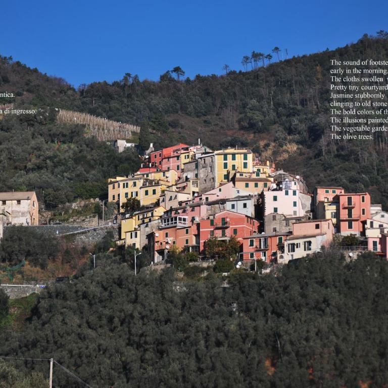 Green Gate to 5Terre - Appartamento - 1