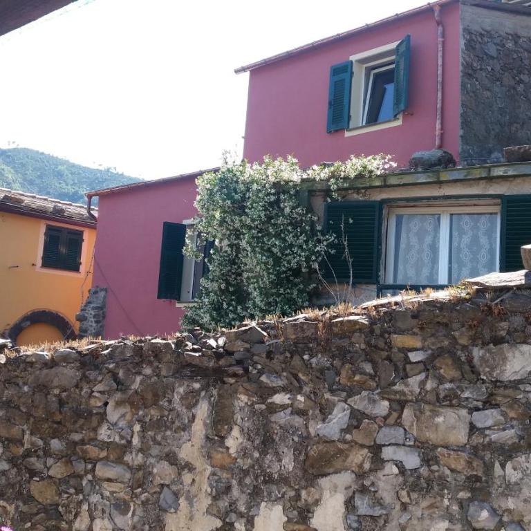 Green Gate to 5Terre - Appartamento - 11