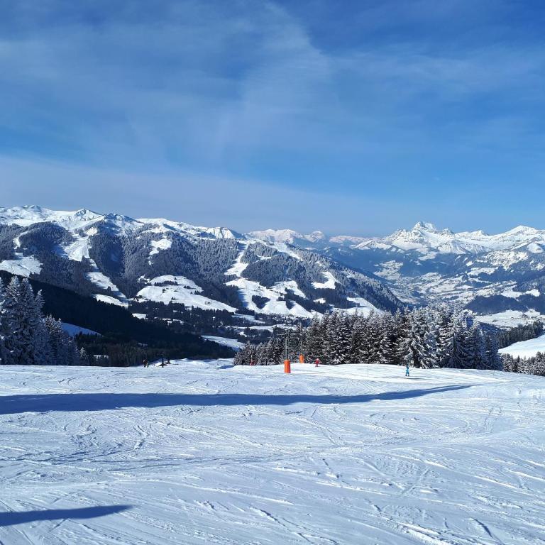 Saint Gervais - Le Bettex T3 Duplex (1400m d'altitude)/ 55m2 / Vue Mont Blanc - Aux Pieds des Pistes! - Apartment mit 2 Schlafzimmern - 26