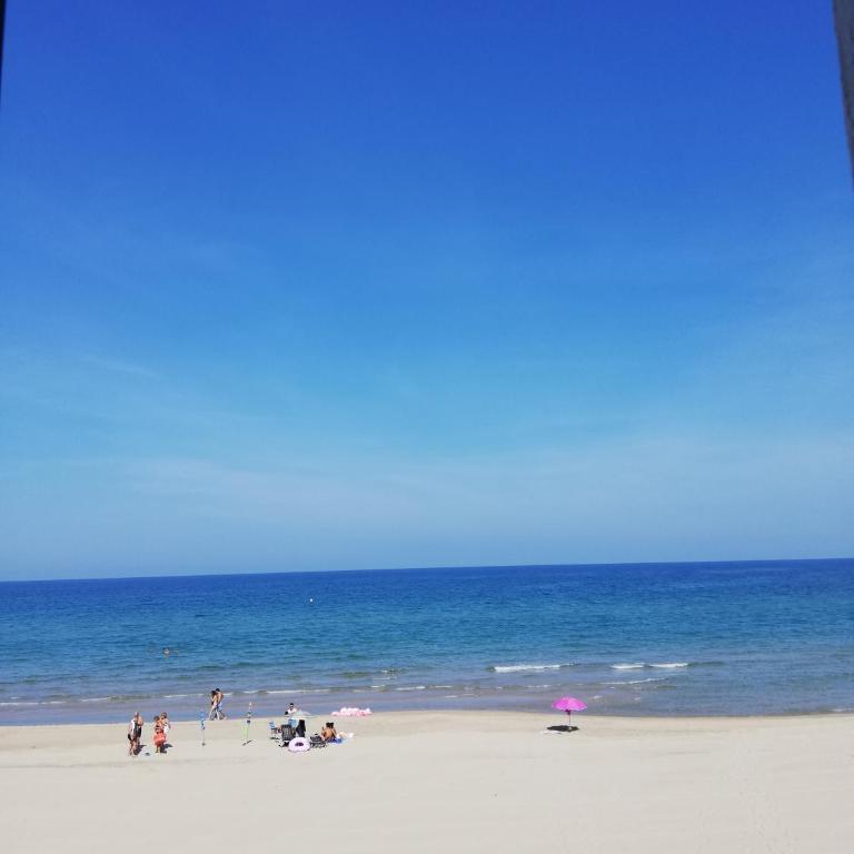 Apartamento primera linea de playa WIFI gratis - Apartamento con vistas al mar - 8