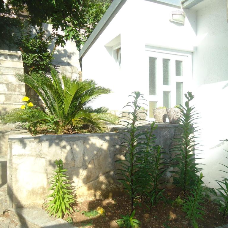 Apartments Villa Petranović - Studio sa Popločanim Dvorištem - 4