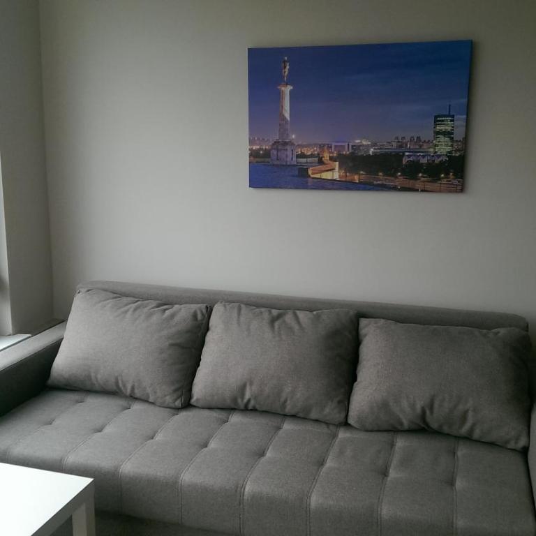 Apartman 22 Dedinje - Apartman sa 1 Spavaćom Sobom - 8