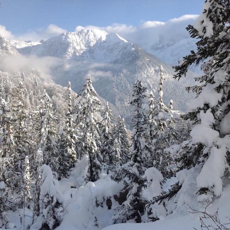 Résidence Les Jorasses - Studio - Vue sur Montagne - 24