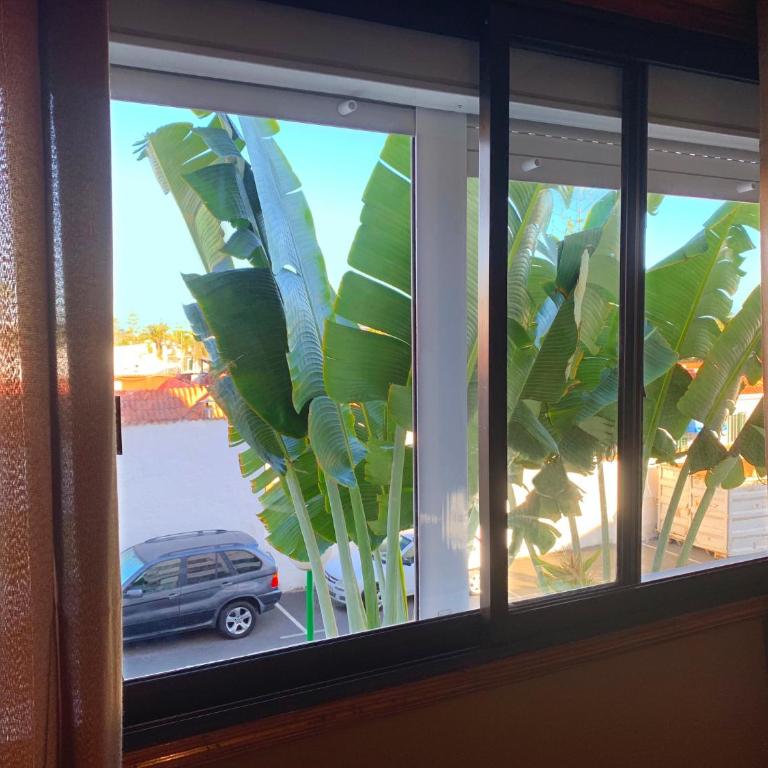 Yumbo/Iguazu Apartment, "Zen" style - Apartamento de 1 dormitorio - 20