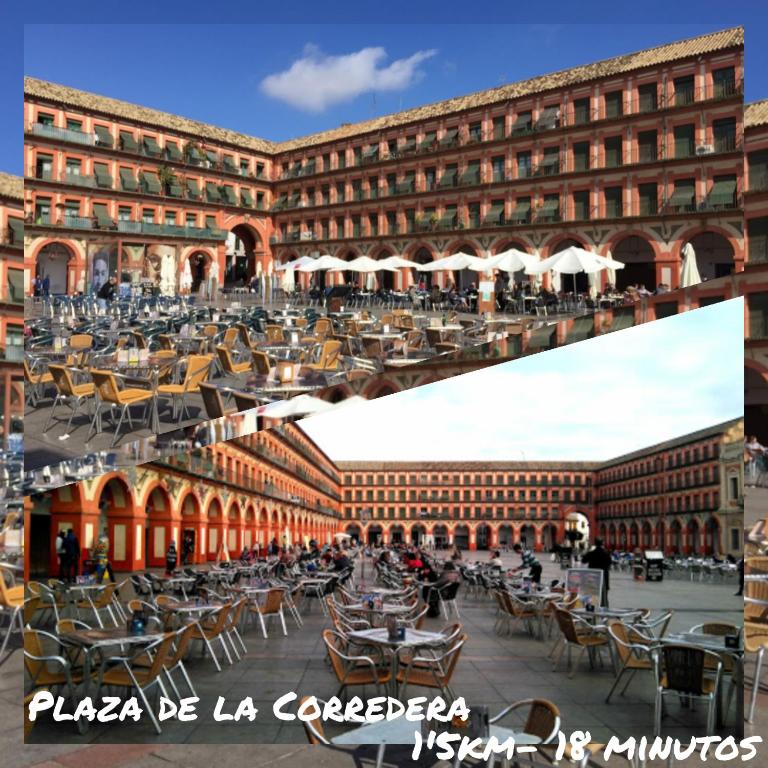 Tati flat - "Parking Fácil" - Apartamento - 30