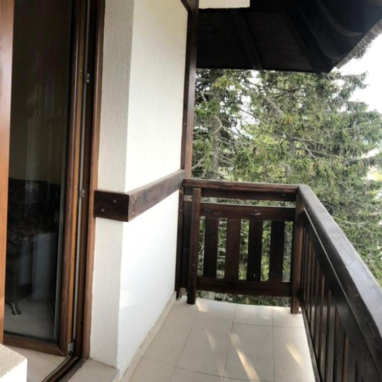 Apartmani u Vili Kopaonik - Studio Apartment - 16