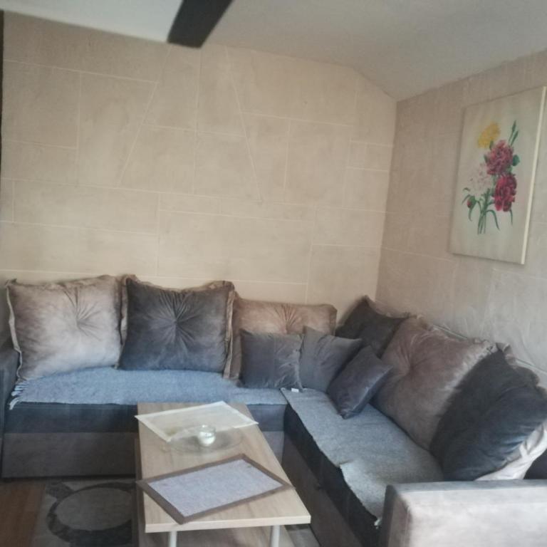 SAŠA - Apartman sa 1 Spavaćom Sobom - 10