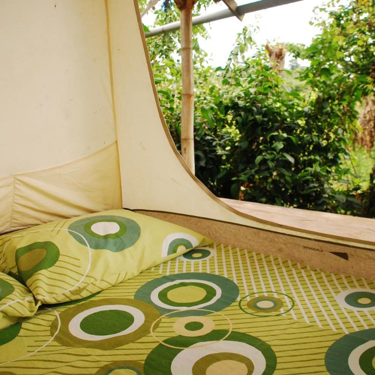 Maracumbo Lodge - Tent - 2