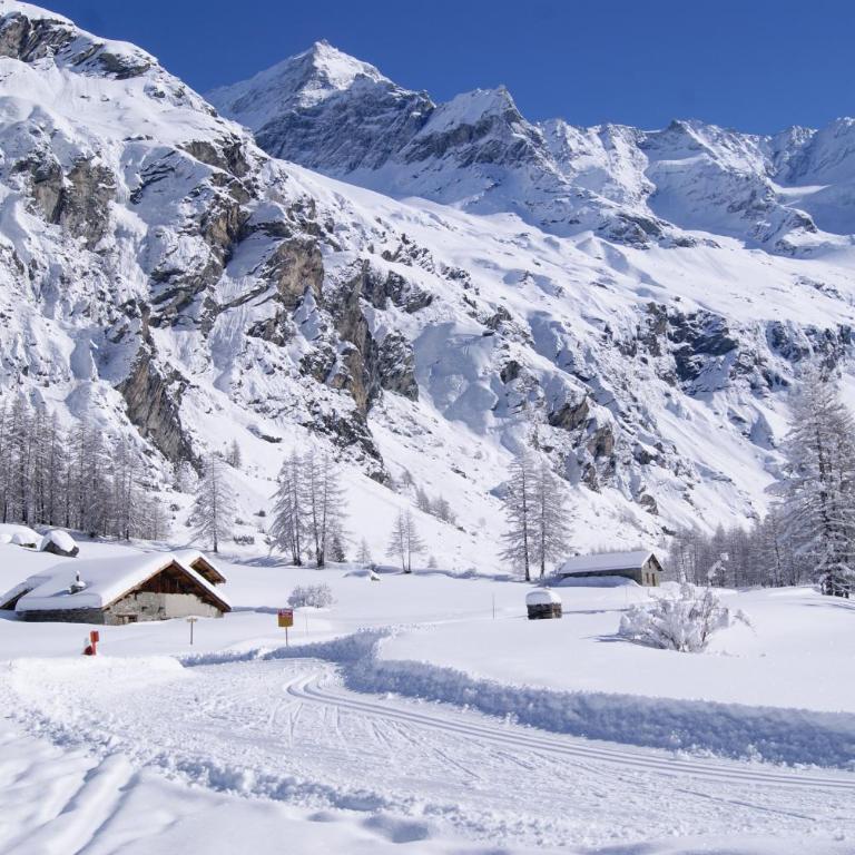 34 Grande Ourse Vallandry - Les Arcs - Paradiski - Appartement avec Vue sur la Montagne - 28