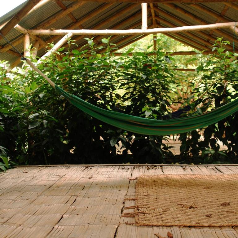 Maracumbo Lodge - Tent - 4