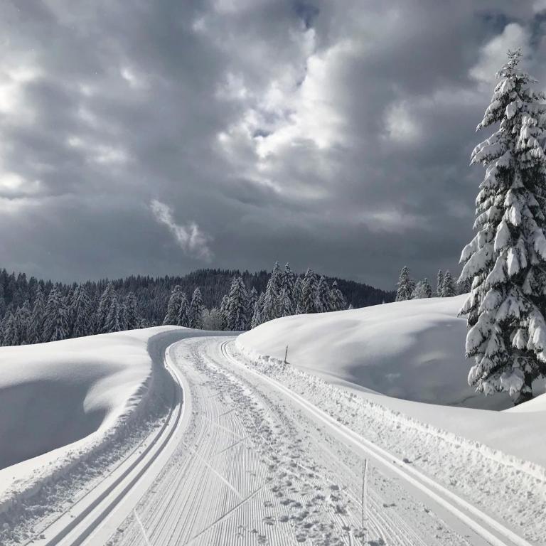 Herbst Alm - Chalet - 19