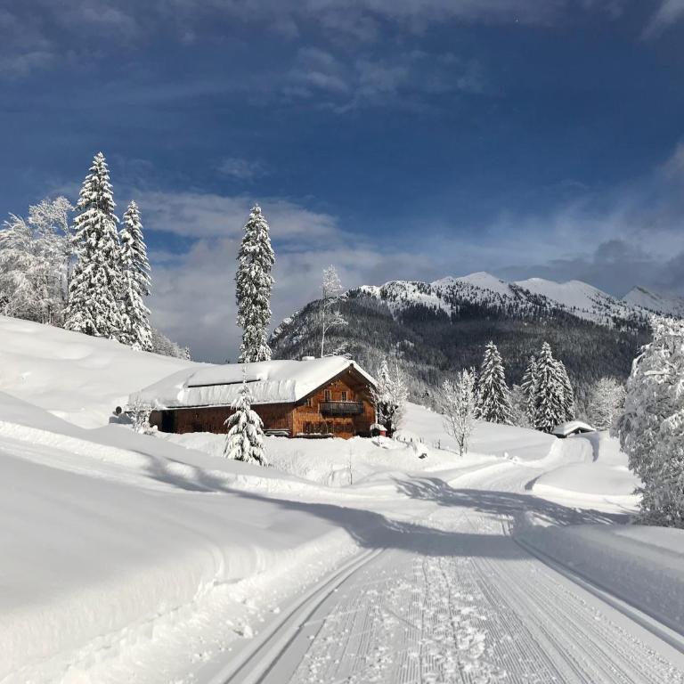 Herbst Alm - Chalet - 6