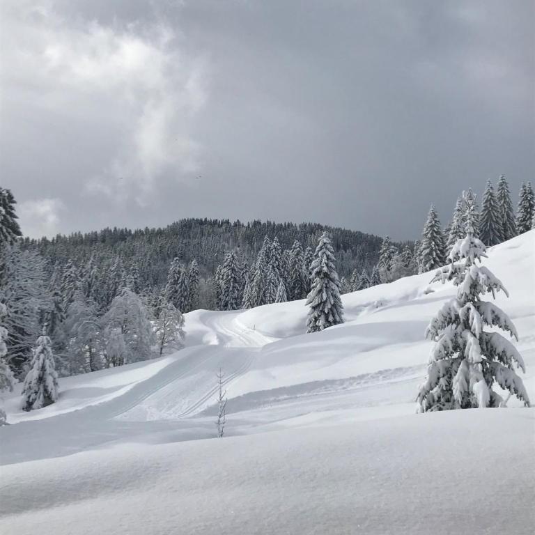 Herbst Alm - Chalet - 7