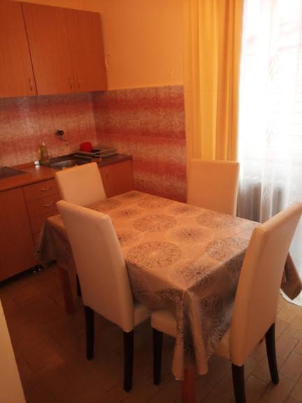 Villa Vlasta - Apartman - Prizemlje - 4