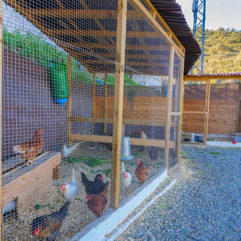 Complejo Rural El Mirador - Casa Unifamiliar de 3 dormitorios - 5