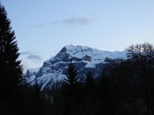 LES CARROZ LE LAYS cosy apartment 40M2 vue montagne plein sud - Apartment - auf 2 Etagen - 35