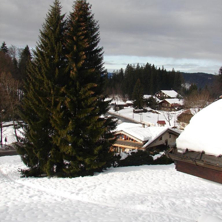 LES CARROZ LE LAYS cosy apartment 40M2 vue montagne plein sud - Apartment - auf 2 Etagen - 25