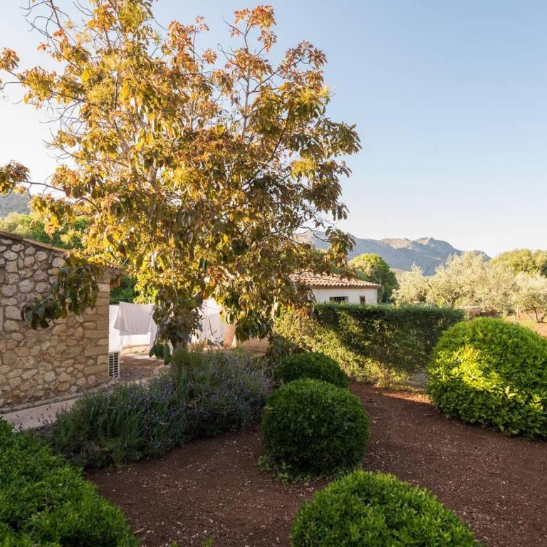 Cuixach - Stone mallorcan villa in Pollensa - Casa de 3 dormitorios - 9