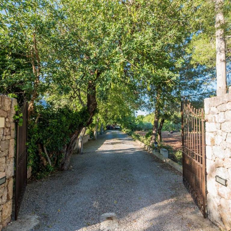 Cuixach - Stone mallorcan villa in Pollensa - Casa de 3 dormitorios - 31