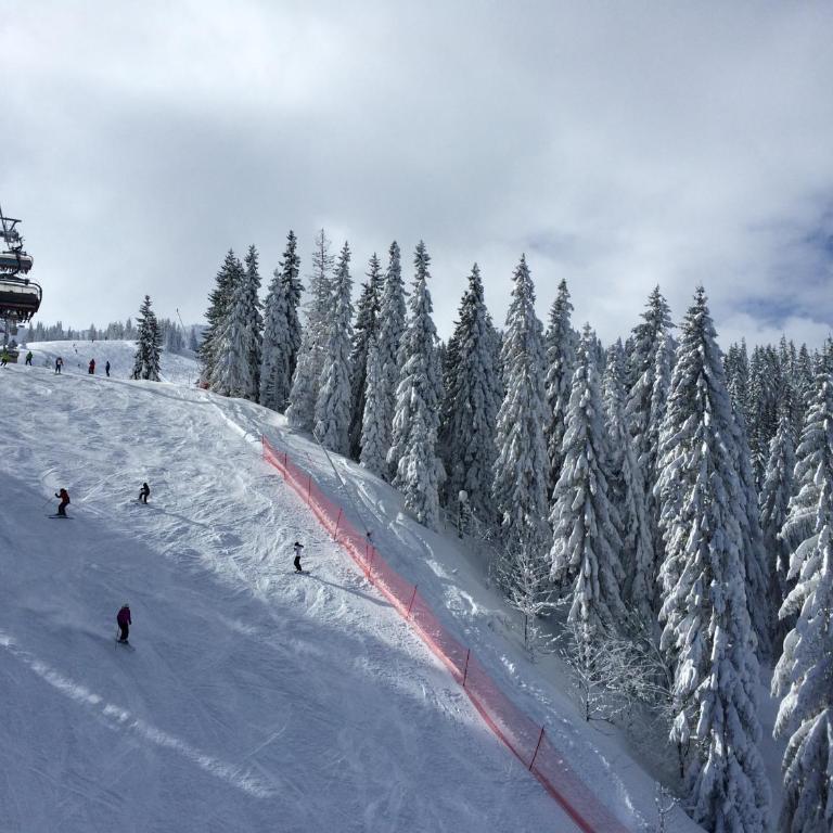 LUX privatni apartman 411 u sklopu HOTEL VUČKO JAHORINA - Deluxe Apartment - 38