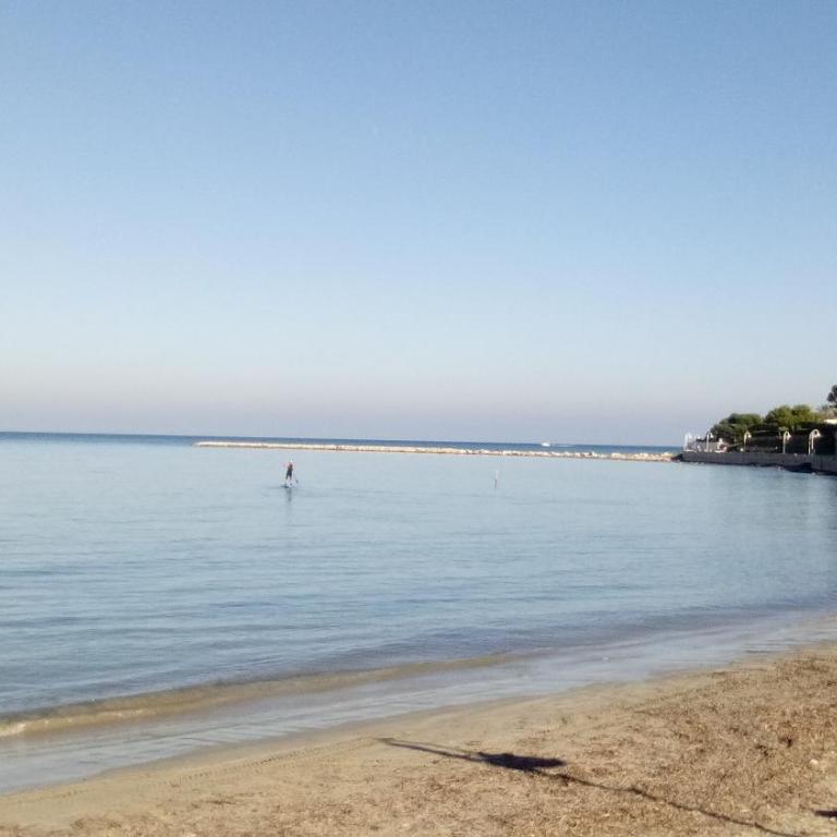Mare Nostrum II Denia. - Apartamento - 40
