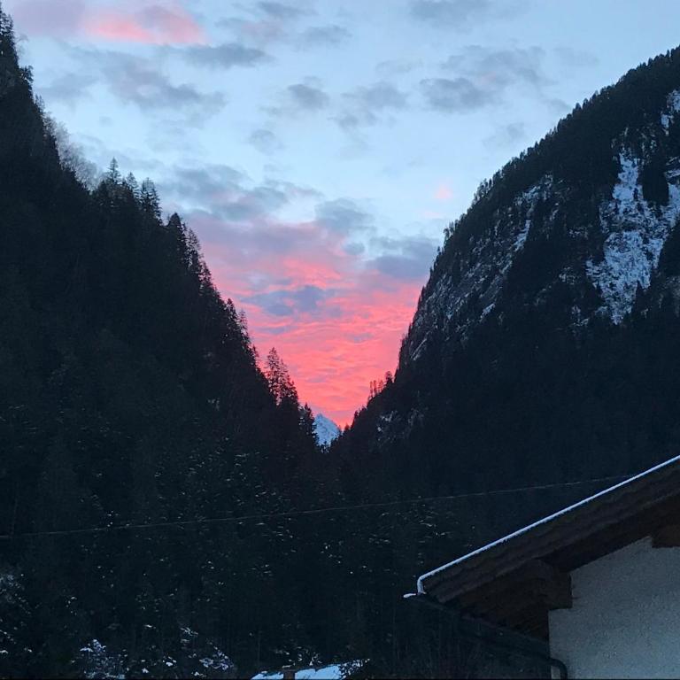 Eberl´s Zirbenlodge - Appartement 1 Chambre - 20