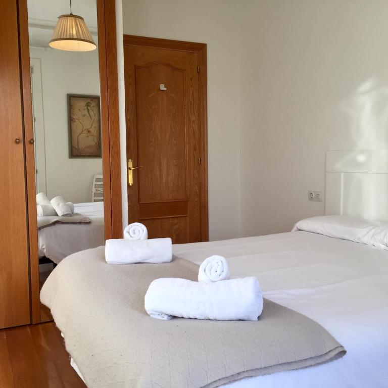 Plaza luminoso apartamento en pleno centro - Apartamento - 14