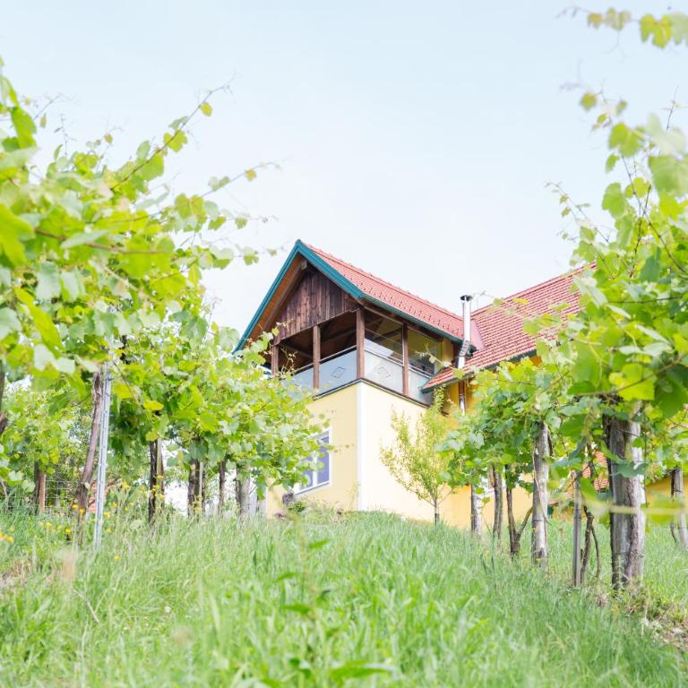 Buschenschank Ofnerpeter - Superior Family Room - 2