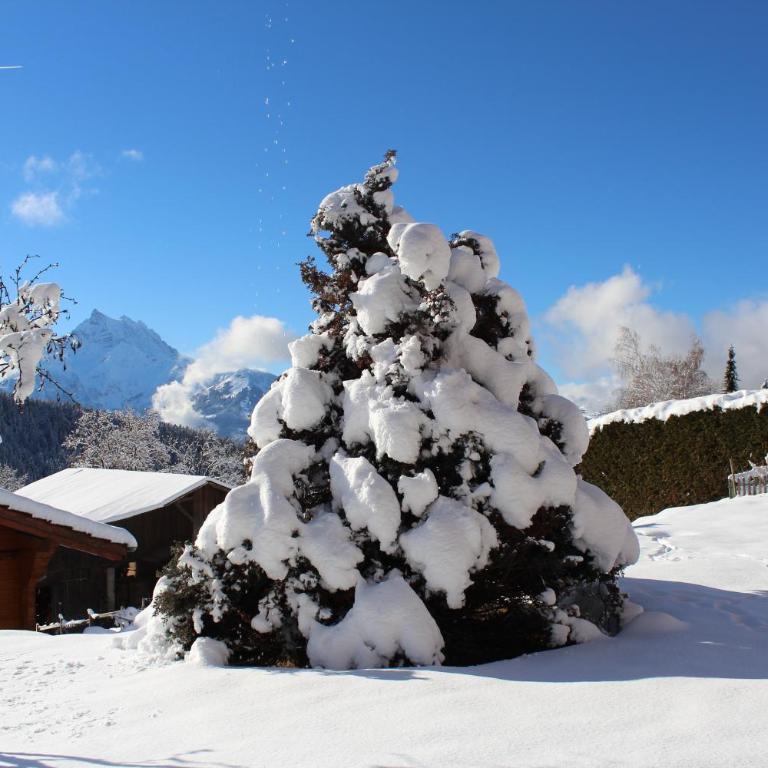 Chalet Le Slalom - Apartment - 48