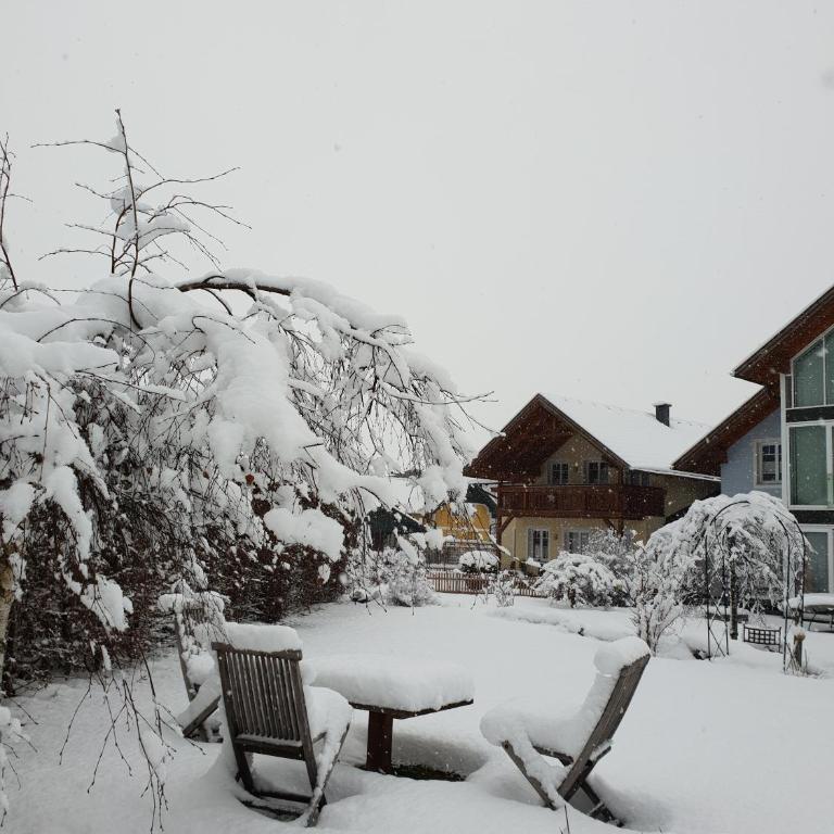 Ferienhaus Pepi - Ferienhaus - 17